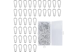 Aililong Juego de 40 mosquetones pequeños, 47 x 22 x 3,5 mm, acero inoxidable, mini mosquetones pequeños con caja de almacenamiento, cierre a presión, mosquetón para mochila, correa de perro, camping,