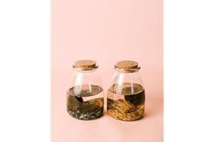 Marimo Ball Mini Terrario | Terrario Plantas Cristal | Pur Plant