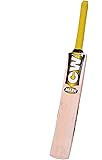 CW Mark Cricket Bat Small Boys Size 1 in Kashmir Willow for 4-5 Yr Kids with Cover