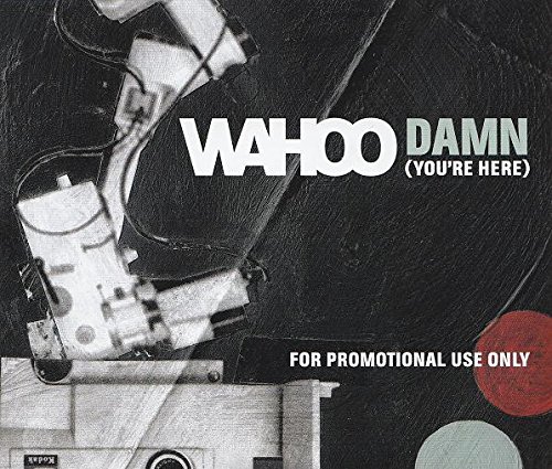 Preisvergleich Produktbild Damn (You're Here)