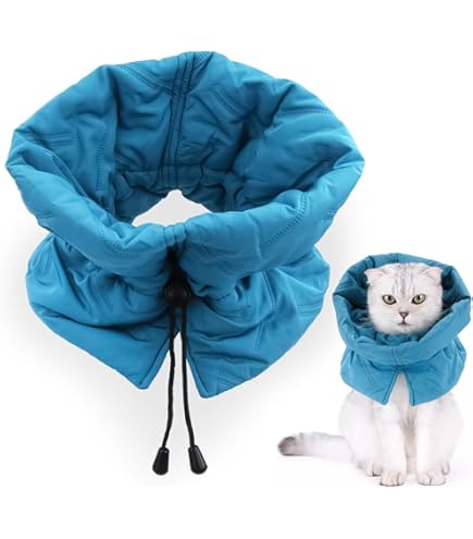 Katzenbody Nach Op Huiyoulan Halskrause Für Katzen – Weich