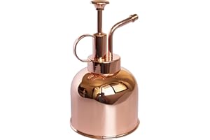 Lianshi Stainless Steel Plant Sprayer - Modern Gardening Tool for Indoor Potted Plants Watering and Spraying