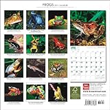 Image de Frogs 2011 Calendar