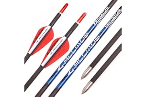 PHILOCS 12pz Frecce in Carbonio ID 4,2mm Rosso Bianco Piuma Spine 300 350 400 500 600 700 800 900 1000 Freccia da Caccia Pratica per Arco Compound Arco Ricurvo Tiro con L'Arco