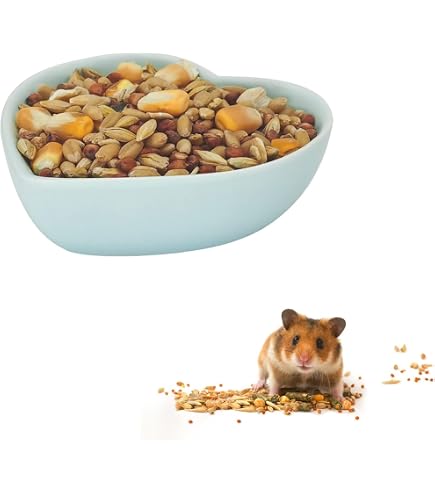 Pet Lodge Futternapf Aus Kunststoff – Robust, Flach, 2,5 Tassen (590 Ml), Größe M, Granit-Optik
