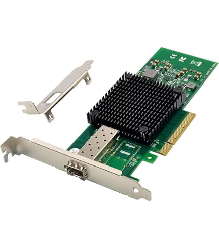 Amazon.in: Buy ASUS XG-C100C 10G Network Adapter PCI-E x4 Card