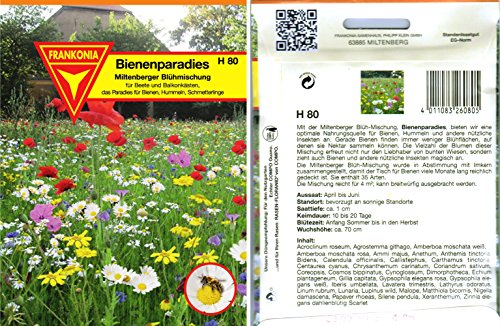 Luxus-Insektenhotels 22690e Schilfrohrhalme Set plus Samenmischung „Bienenparadies“, 35 Sorten, circa 1000 Stück, 9 cm lang - 5
