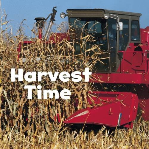 Preisvergleich Produktbild Harvest Time (Little Pebble: Celebrate Autumn)