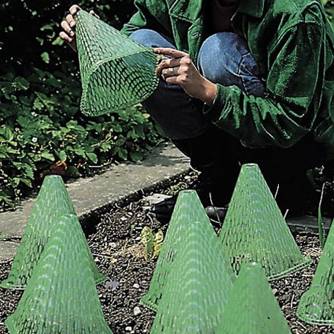 Preisvergleich Produktbild Pflanzenhut Sunnyboy