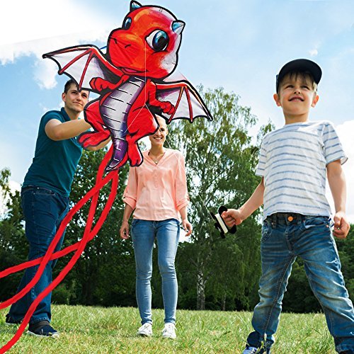 Baby Dragon Kite: Best 3D Kite Animal for Kids - Ideal Kites for Kids Who Love the Great Outdoors - Perfect Kids Kites for the Beach and Park - Easy Flyer Kite for Kids and Adults