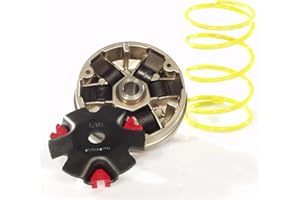 Variomatik Malossi Multivar für Keeway Fact Focus RY8, CPI, Generic ATU Spin GE 50, Race GT50 und andere Minarelli Clone Motoren 1E40QMB mit 16mm Kurbwellenstumpf
