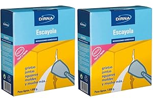 DIRNA Escayola en Polvo Reparaciones Domesticas Lote 2 unid en cajas de 1 kg