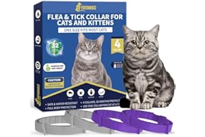 YOTANGO Collar Antipulgas Gatos, 32 Meses de Protección Collar Antipulgas para Gatos, 4 Pcs Collar Antipulgas y Garrapatas para Gatos, Collar Antiparasitario Gatos de Todas Las Tallas-Gris y Violeta