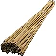 MUSAN Large 2FT 3FT 4FT 5FT 6FT Natural Garden Bamboo Canes - Heavy Duty Strong Plant Support Poles Thick Sticks - Indoor & Outdoor Plants Stakes Wooden Screening Wood Trellis (20, 6FT (10-18mm))