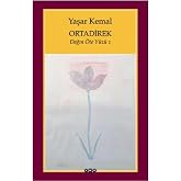 Ortadirek / Dağın &Ouml;te Y&uuml;z&uuml; 1