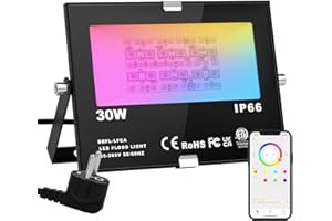 CHANGM Foco LED Proyector de Exterior impermeable 30W Controlado por la Aplicación de Teléfono Foco Proyector Exteriores IP66 LED Foco de Colores Adaptado para Decoración de Jardín Parque Hotel Terraza