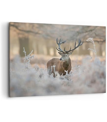 Komar Décoration murale - Animals Forest Fox - Poster pour salon, chambre à coucher - Impression d'art - Sans cadre - P084B-40 x 50 cm - Dimensions : 40 x 50 cm (largeur x hauteur