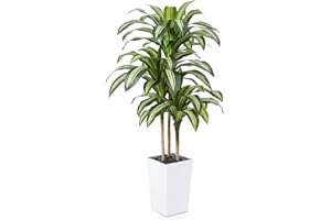 VeriNatural Artificial Dracaena Tree 150 cm - UV-Resistant Realistic Faux Large Green Plastic Fake Plant with White Taper Planter - Tall Artificial Plants for Home Garden Office Indoor Decor, VN127