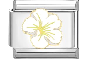 papasgix Italian Charms Module Blumen für 9mm Italian Charm Bracelet DIY Italian Style Charms für Damen Abnehmbar Italienisches Charm Armband Zubehör Mädchen Junge Geschenk