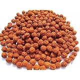 Fashionbonanzamart Rudraksha Rudraksh 5 Mukhi Loose 5mm Beads Yoga Meditation Wholesale Lot of 251