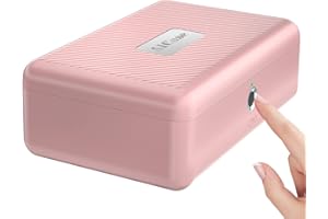 AICASE Caja de almacenamiento biométrica de huellas dactilares, Caja fuerte portátil para joyas y efectivo, caja de bloqueo recargable para coche, hogar, oficina, viaje(rosa)