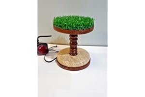 ALTAWASH New Falconeria blocco di legno persico 14 cm Kestrel & Merlin uso con marmo e erba sintetica