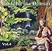 Produktbild Buddha+Bonsai 4