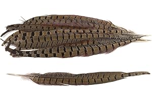 CREATIVERY Lot de 10 plumes de faisan naturelles - 30-35 cm