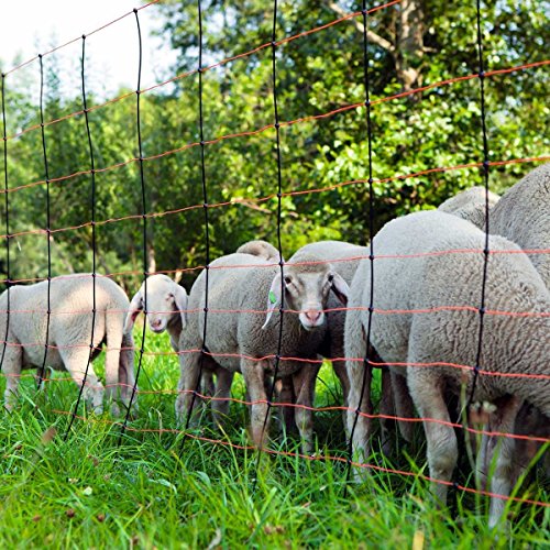 Eider TITAN Schafnetz in 108cm 1 Spitz 50 m lang - Agilitynetz in Top Qualität - Auch für größere Hunde als Agilitynetz