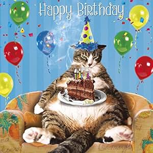 Fat Cat & Cake Birthday Card - Laid Back Birthday: Amazon.co.uk: Office