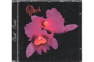 Orchid