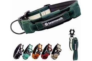 teamwalk® Premium Dog Collar - with Magnetic Handle, Light Strips, Air Tag Bag, Individually Adjustable, Soft Padding, Robust Buckle, Available with Matching Lead, Now Lighter (L)