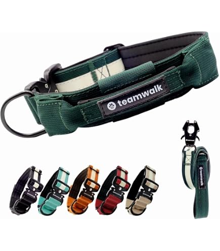 hundefutter trockenfutter getreidefrei Wildfang Adult Huhn & Kruter  getreidefreies Premiumfutter  Wildfang.pet