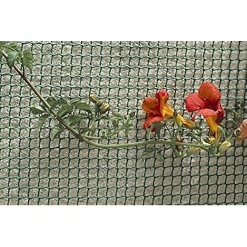 Plastic Garden Fencing 1m x 10m Green 5mm Green Netting Fence Mesh