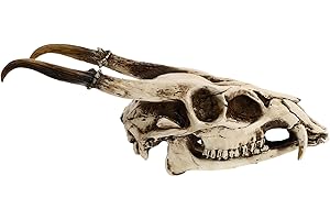Yardenfun Decorazione da parete con teschio di capra, decorazione naturale per la casa, modello di teschio, decorazione da parete di Halloween, teschio di pecora, resina artificiale