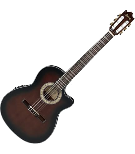 Ibanez AEQ2T - Guitarra electro clásica para conciertos : Amazon