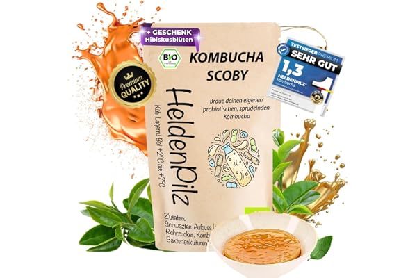 HeldenPilz Kombucha ekologisk tesvamp – Vital och kraftfull Scoby med rotvätska | för 6 l kombucha