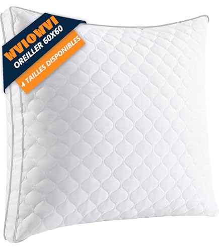 Lot De 2 Oreillers Gérard PASQUIER 60x60cm Mousse à Mémoire De Forme - Soutien Cervical - Anti-acariens
