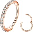 BLESSMYLOVE Clear CZ Nose Rings Hoop 316L Surgical Steel Cartilage Earrings Conch Daith Helix Rook Tragus Lobe Snug Body Piercing Jewelry 20G 18G 16G Stainless Steel Hinged Segment Rings Lip Rings