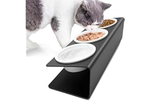 Lannvan Katzennapf Erhöht - 3X Fressnapf Katze aus Keramik mit Metall Ständer - 15° gekippte Futterstation Katzen Hundenapf - Fressnapf und Wassernapf für Katzen und kleine Hunde