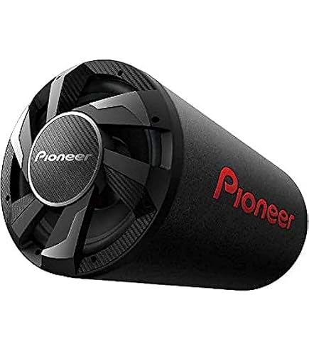 Pioneer TS-WX306T Reflex Tube Enclosure Subwoofer: Buy Online at