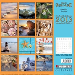 Beach Still-Life 2013 (Mindful Editions)