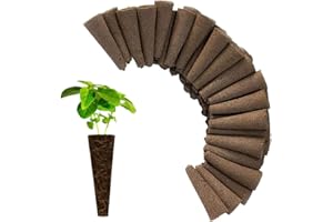 DAZZLEEX 50 Stück Samen-Schwamm, Starter-Pods, Wurzelwachstum, Schwamm-Plugs für Hydrokultur-System