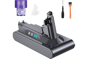 BOANV 8000mAh de Remplacement Batterie pour Dyson V10 - Compatible Aspirateurs Dyson V10 Absolute/Extra/Motorhead/Mattress/Fluffy/Car+Boat (avec 1 Filtre)