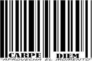 DOCLIICK Frase Vinilo "CARPE DIEM." Vinilos decorativos (Vinilo de corte, 90x60cm)