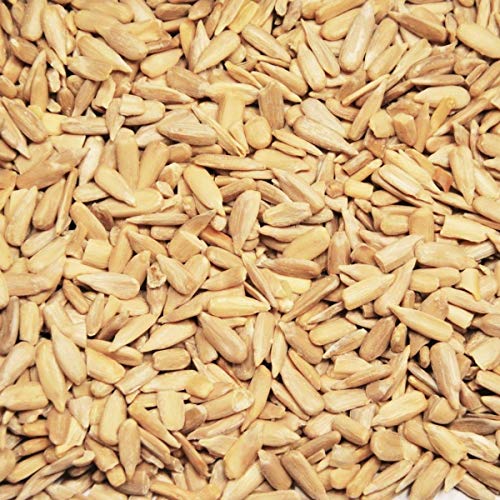 Preisvergleich Produktbild Bio Sonnenblumenkerne (Europa) 25 kg - versandkostenfrei