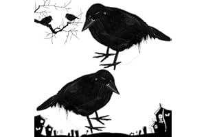 QIMMU 2 Stück Krähe Halloween,Rabe Halloween,Schwarzer Rabe Deko,Halloween Krähe Dekorationen,Halloween Krähen Requisite,Realistische Feder Krähen für Halloween Deko Garten Gruselig,Halloween Horror Party