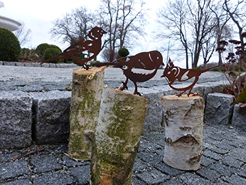 Vogel / Kohlmeise (Rostdeko) - 6