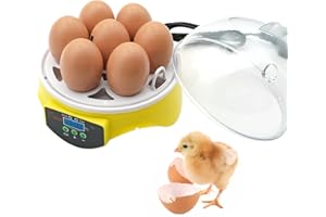 MASXIRCH Incubatrice per Uova, Incubatrice per Pollame a 7 Uova con Controllo Manuale Della Temperatura per la Cova di Uova di Pollo, Anatra, Oca, Pappagallo e Quaglia