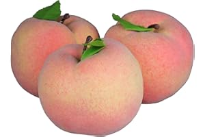 ‎GMMH GMMH Künstlicher Deko Pfirsich (3 Stück) - Lebensechtes Plastikobst, Plastikfrucht, Kunstobst, Frucht für Dekoration, Schaufenster, Haushalt, Küche, Party, Hotel